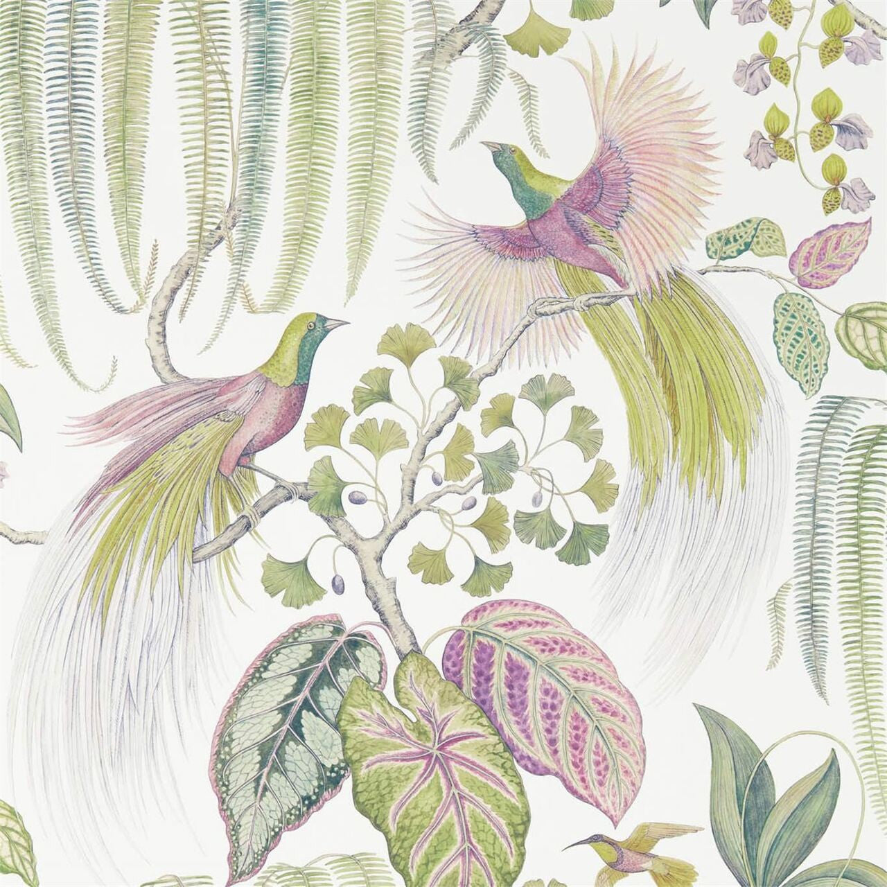 216654 Bird Of Paradise Glasshouse Wallpaper By Sanderson