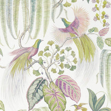 216654 Bird Of Paradise Glasshouse Wallpaper By Sanderson