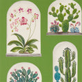 Terrariums Glasshouse Wallpaper By Sanderson