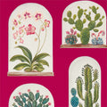 Terrariums Glasshouse Wallpaper By Sanderson