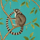 Ringtailed Lemur Glasshouse Wallpaper By Sanderson
