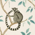 216665 Ringtailed Lemur Glasshouse Wallpaper By Sanderson