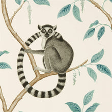 216665 Ringtailed Lemur Glasshouse Wallpaper By Sanderson