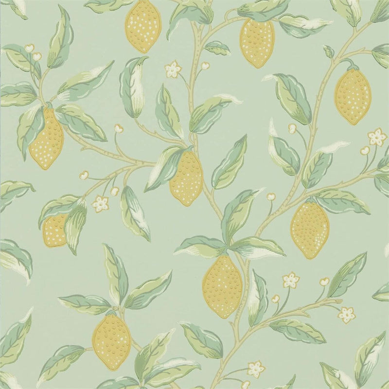 DMSW216673 Lemon Tree Melsetter Wallpaper By Morris & Co