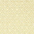 Pinjara Trellis Woad Caspian Wallpaper by Sanderson