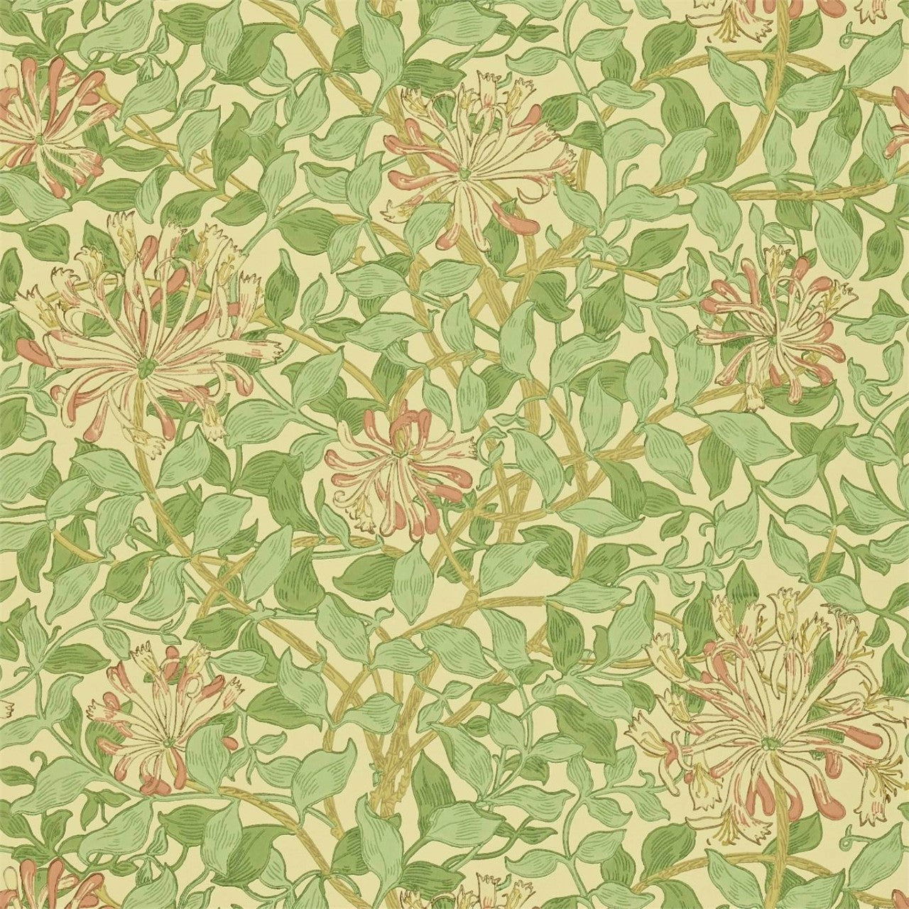 216842 Honeysuckle Compilation Wallpaper By Morris & Co