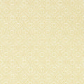 Pinjara Trellis Littlemore Wallpaper by Sanderson