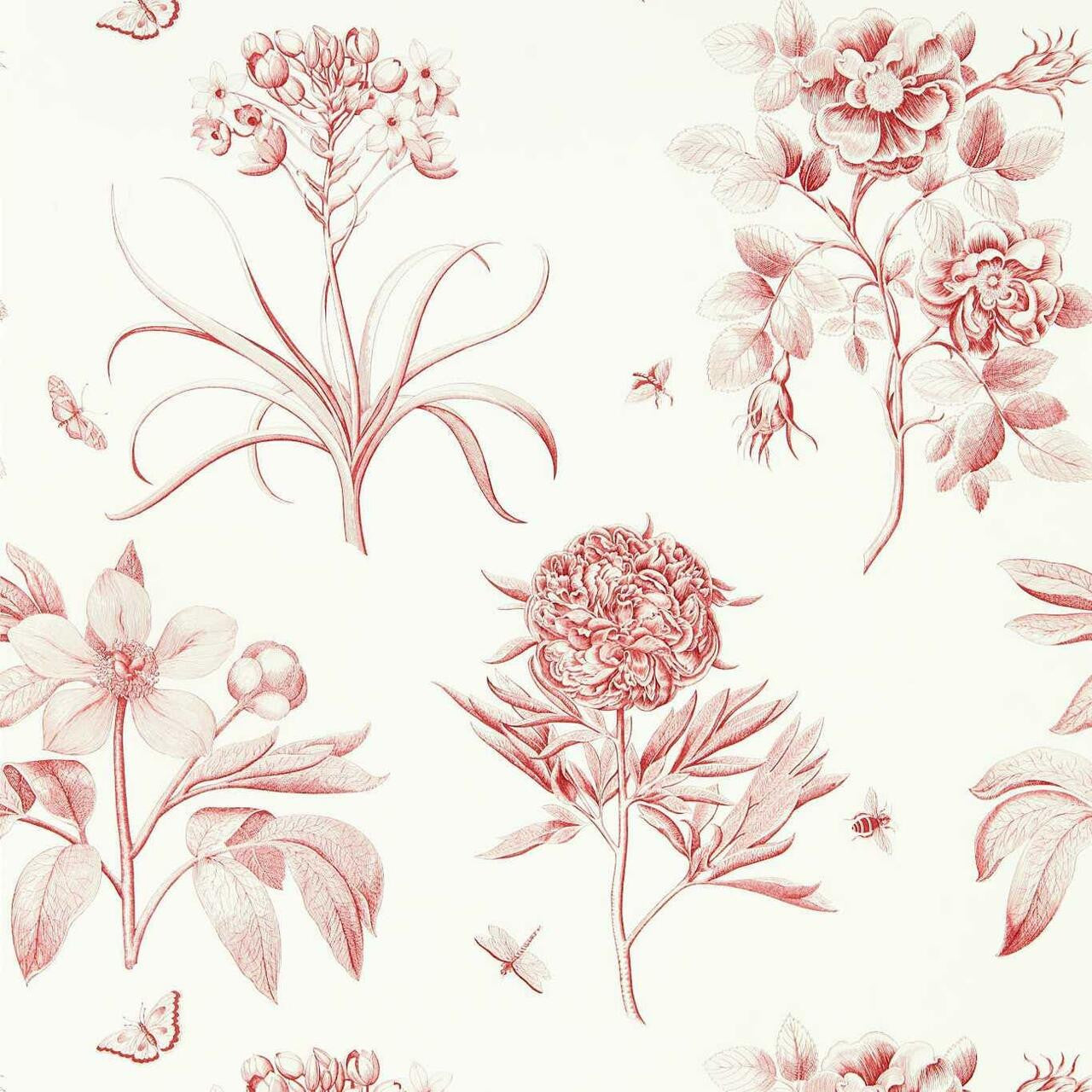DOSW217054 Etchings & Roses One Sixty Wallpaper By Sanderson