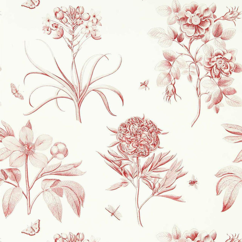 DOSW217054 Etchings & Roses One Sixty Wallpaper By Sanderson