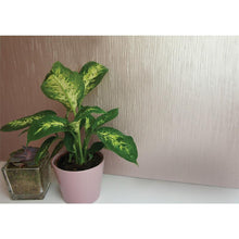 Shay Rose Gold Wallpaper By Holden Decor