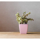 Caldera Rose Gold Wallpaper By Holden Decor