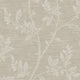 Faded Leaves Essential Textures Wallpaper by Today Interiors