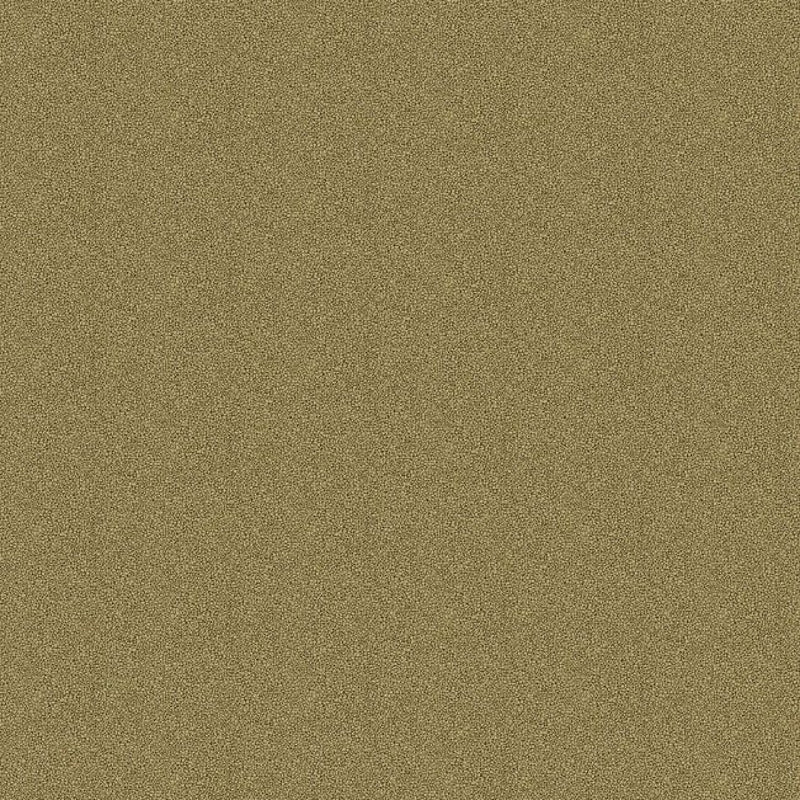 2231605 Grainy Essential Textures Wallpaper by Today Interiors