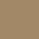 2231606 Grainy Essential Textures Wallpaper by Today Interiors