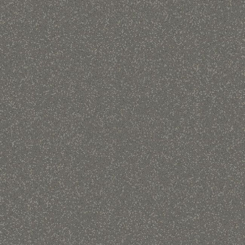 2231610 Grainy Essential Textures Wallpaper by Today Interiors