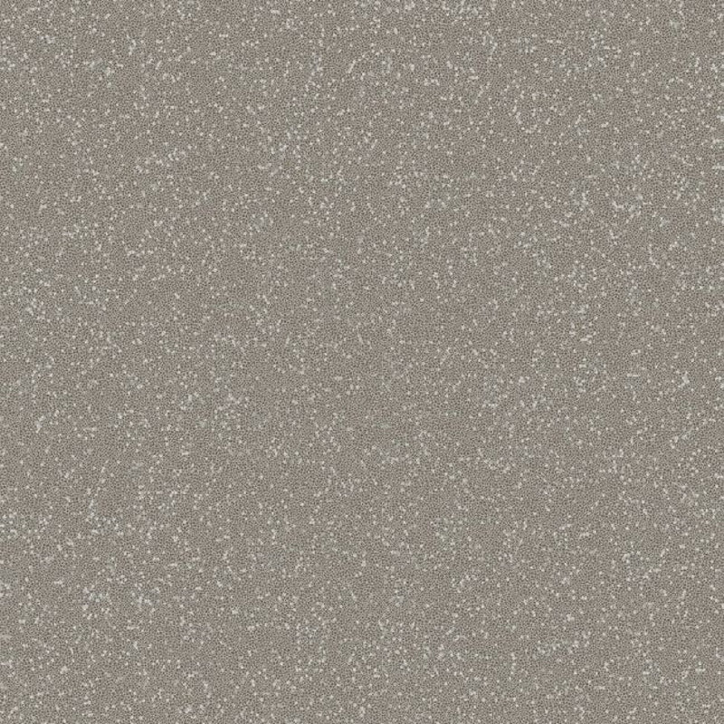 2231617 Grainy Essential Textures Wallpaper by Today Interiors
