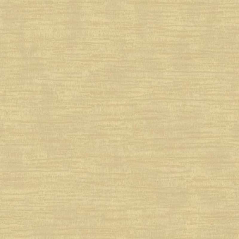 2231805 Cloudy Essential Textures Wallpaper by Today Interiors