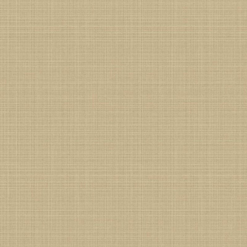 2231928 Faint Etch Essential Textures Wallpaper by Today Interiors