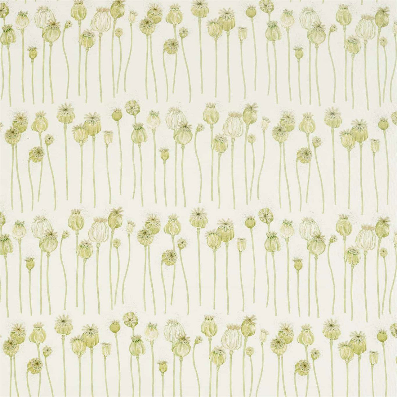 226431 Poppy Pods Embleton Bay Olive/Almond Fabric by Sanderson