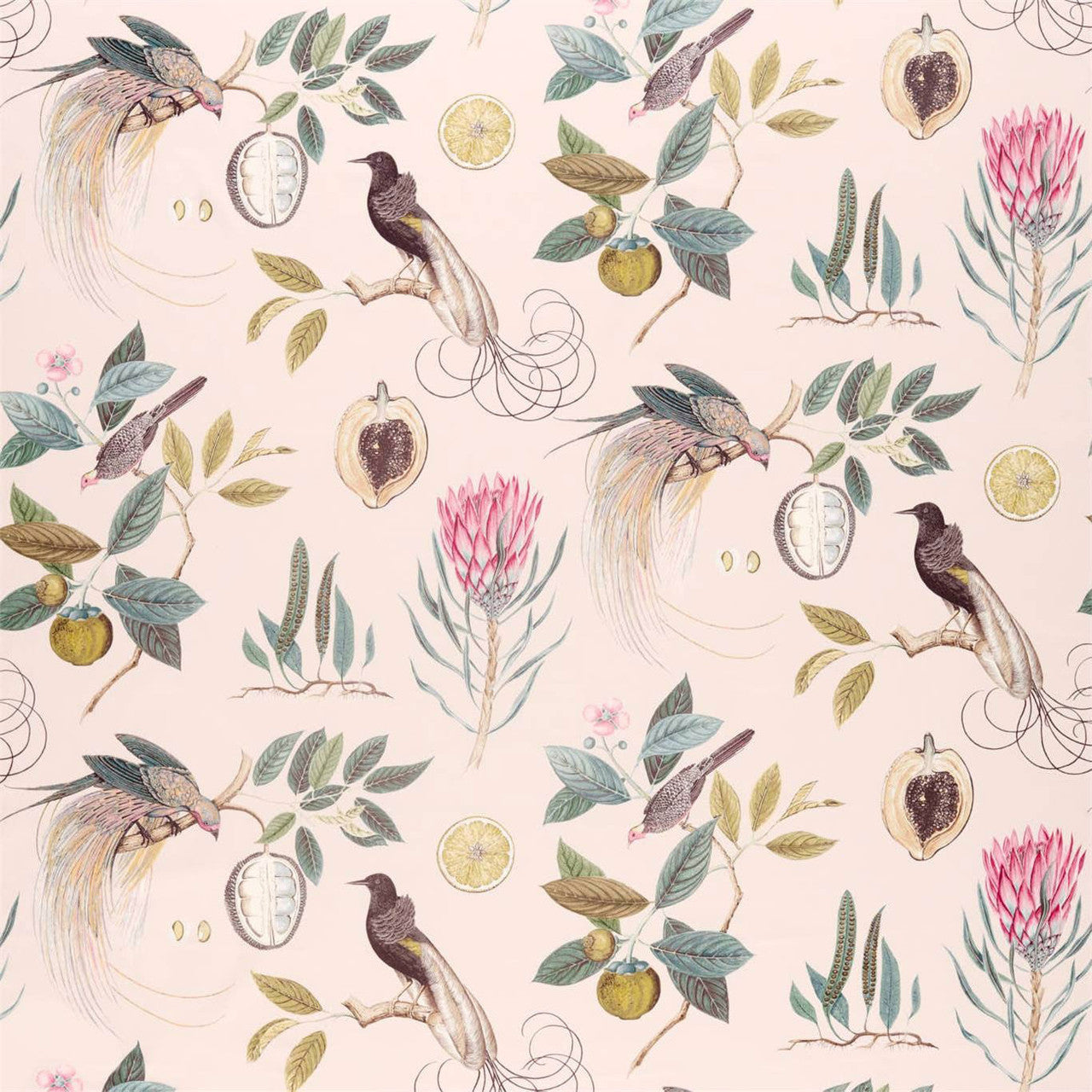 226566 Paradesia Glasshouse Orchid Grey Fabric by Sanderson