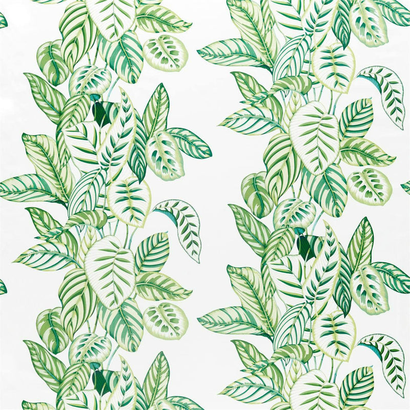 226575 Calathea Glasshouse Botanical Green Fabric by Sanderson