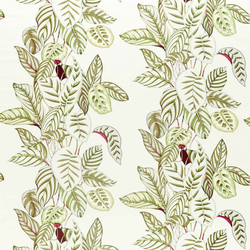 226576 Calathea Glasshouse Olive Fabric by Sanderson