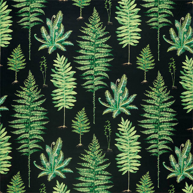 226577 Fernery Glasshouse Botanical Green/Charcoal Fabric by Sanderson