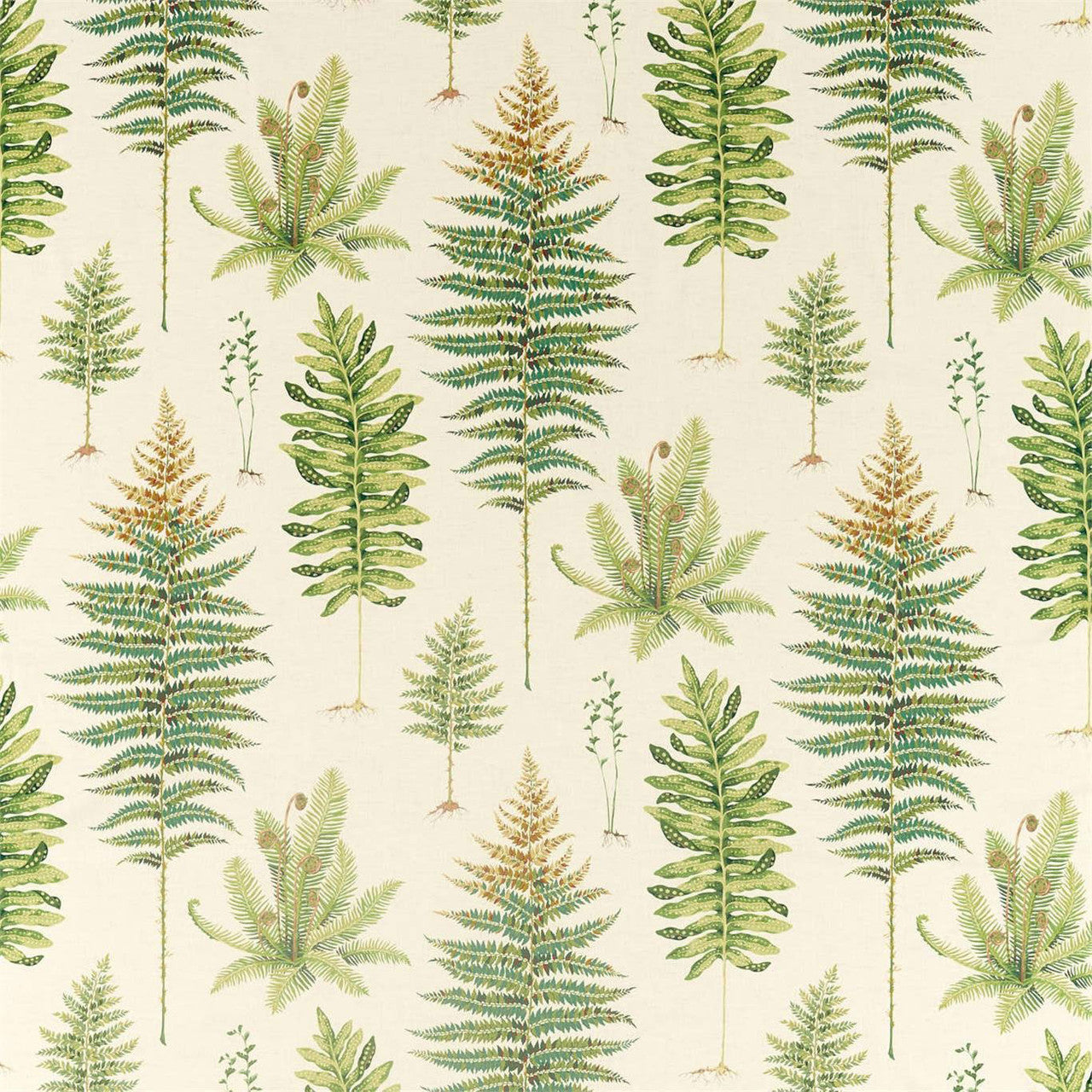 226578 Fernery Glasshouse Olive Fabric by Sanderson