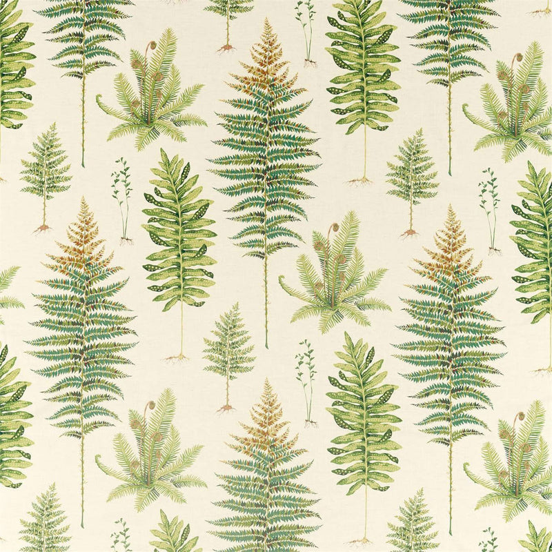 226578 Fernery Glasshouse Olive Fabric by Sanderson