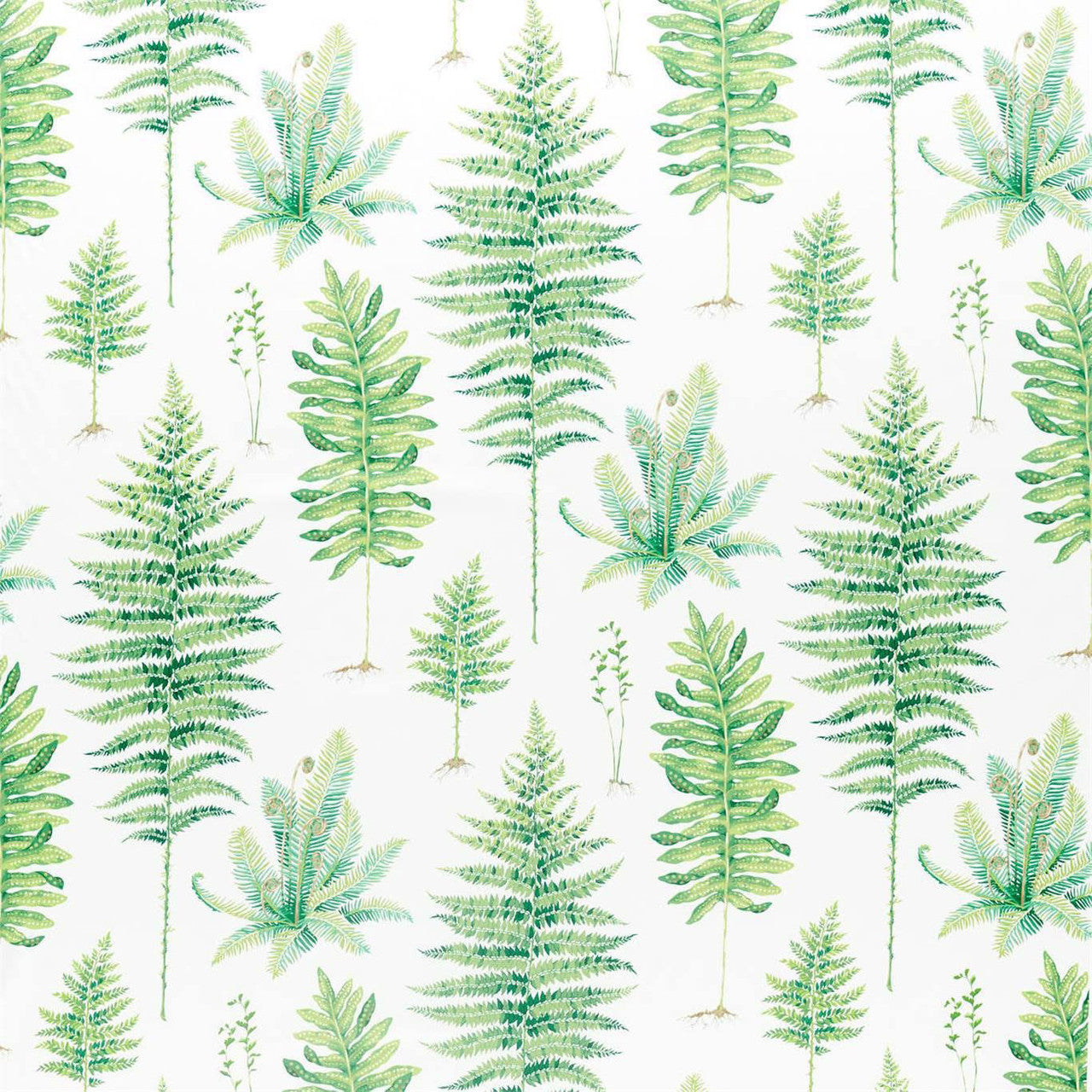 226579 Fernery Glasshouse Botanical Green Fabric by Sanderson