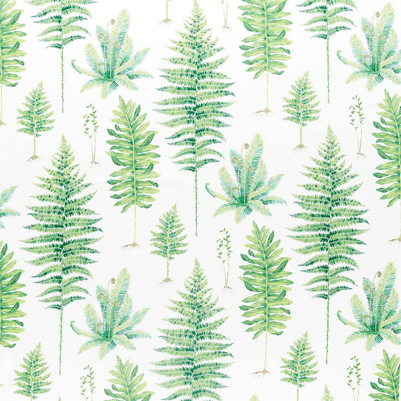 226579 Fernery Glasshouse Botanical Green Fabric by Sanderson