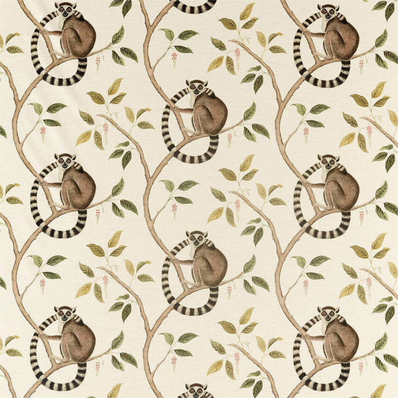 226581 Ringtailed Lemur Glasshouse Olive Fabric by Sanderson