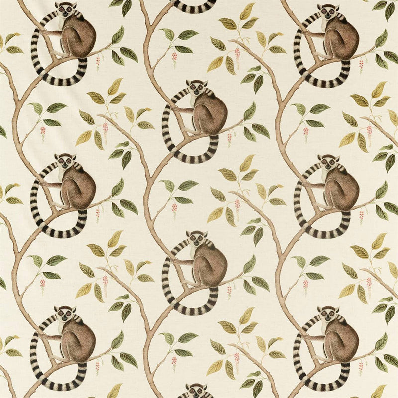 226581 Ringtailed Lemur Glasshouse Olive Fabric by Sanderson