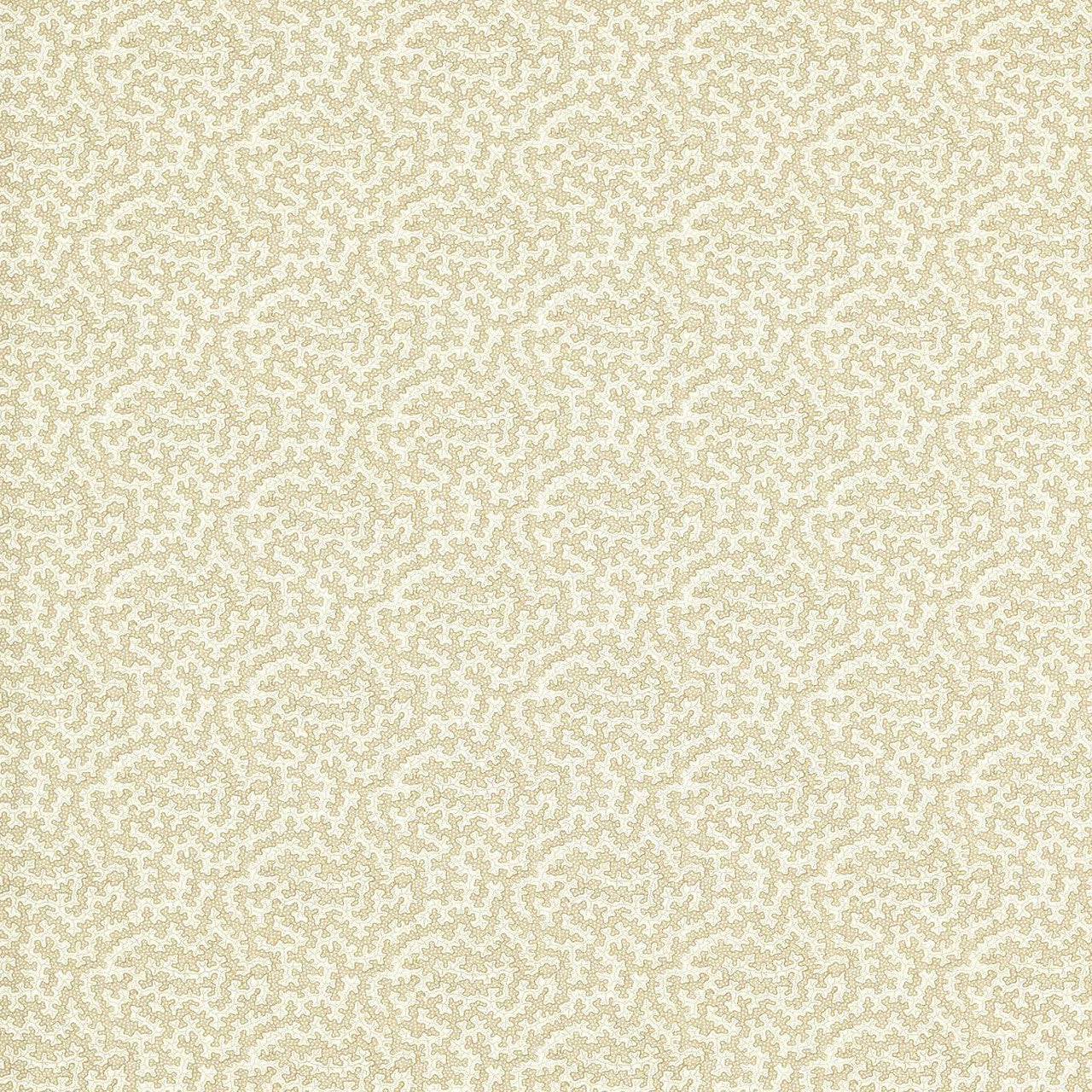 227261 Truffle Indoor Outdoor Prints Sand Dollar Fabric by Sanderson