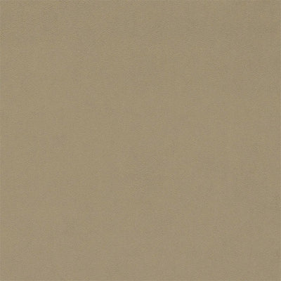 Dorton Velvets Oatmeal Fabric by Sanderson