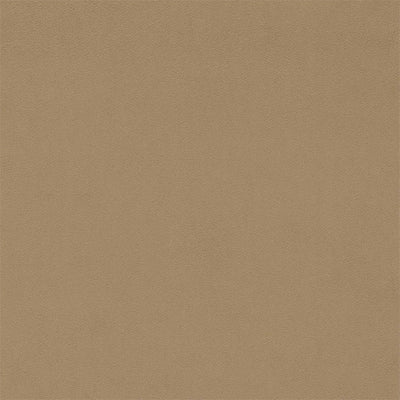 Dorton Velvets Pumice Fabric by Sanderson