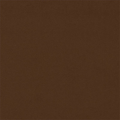Dorton Velvets Cocoa Fabric by Sanderson
