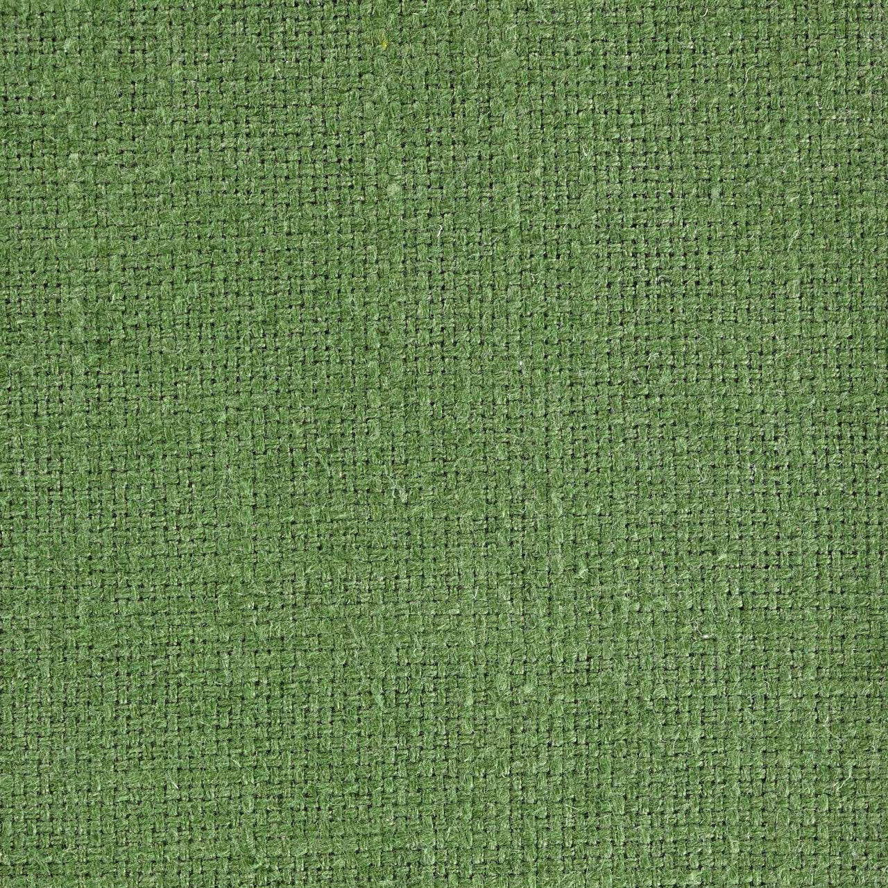 237150 Tuscany II Weaves Cactus Fabric by Sanderson