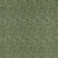 Willow Boughs Caffoy Velvet Wardle Velvets Standen Clay Fabric by Morris & Co