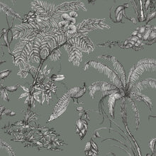 240-68 Juniper Moa Palm Garden Wallpaper by Sandberg