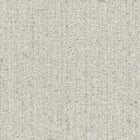 24452 Sale E Pepe Cool Structura Wallpaper By Galerie