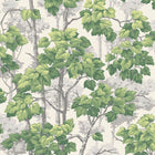 2500 Rivington Tree White Green Wallpaper by Belgravia