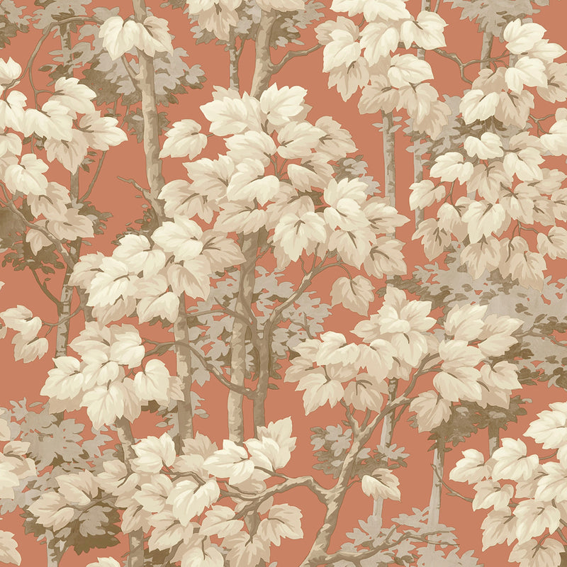 2502 Rivington Tree Burnt Orange Wallpaper by Belgravia