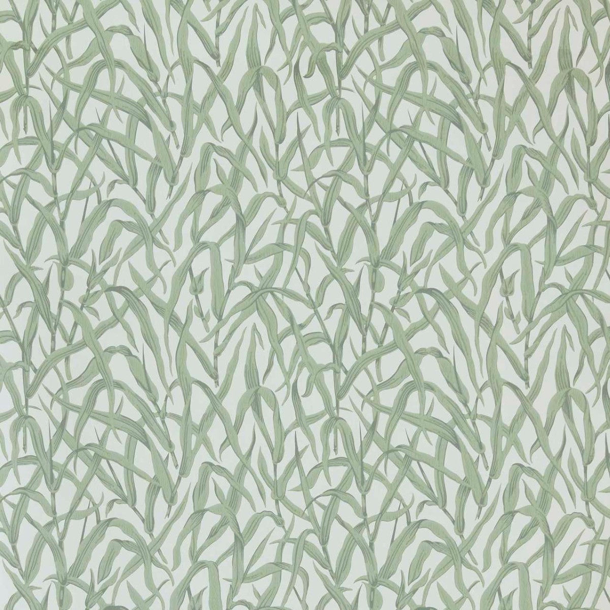 Ornamental Grasses Sage Green V&A Decorative Papers III Wallpaper by 1838 Wallcoverings