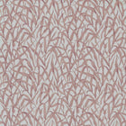 Ornamental Grasses Rose Pink V&A Decorative Papers III Wallpaper by 1838 Wallcoverings