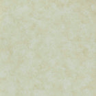 Henley Natural V&A Decorative Papers III Wallpaper by 1838 Wallcoverings
