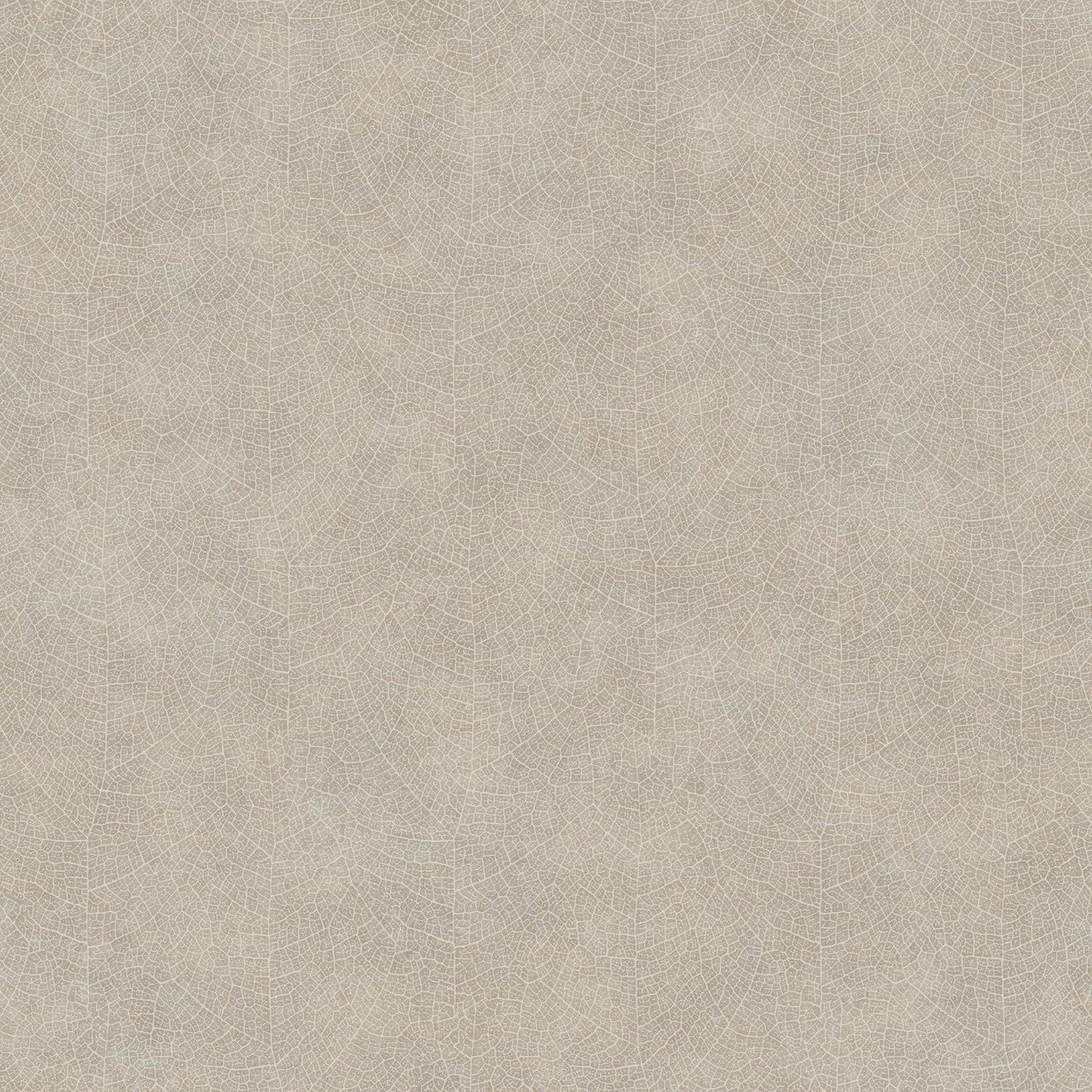 COLR26211204 Noisetier So Color 5 Wallpaper by Casadeco