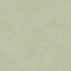 COLR26217010 Noisetier Nervure So Color 5 Wallpaper by Casadeco