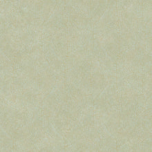 COLR26217010 Noisetier Nervure So Color 5 Wallpaper by Casadeco