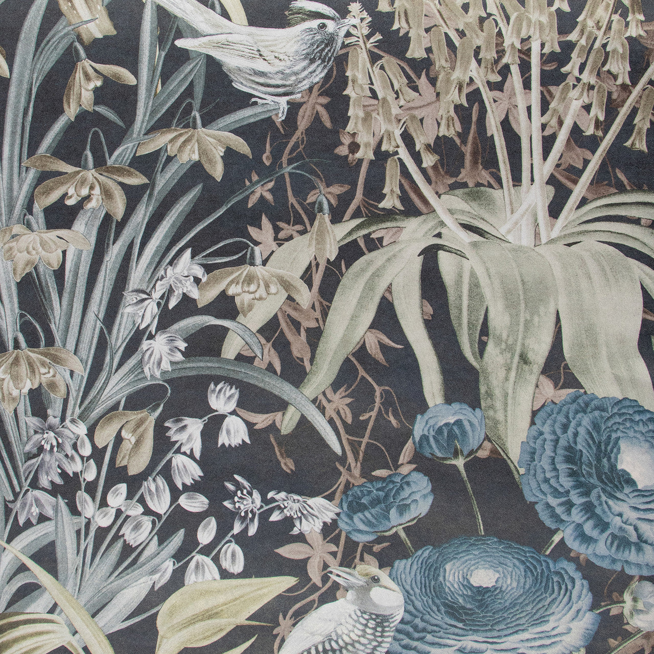 26731 Moorea Tropical Blackberry Wallpaper By Hohenberger